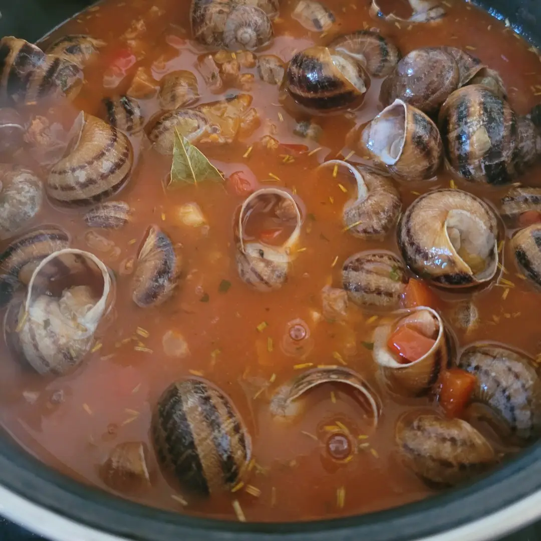 Caracoles en salsa picante con chorizo y jamón